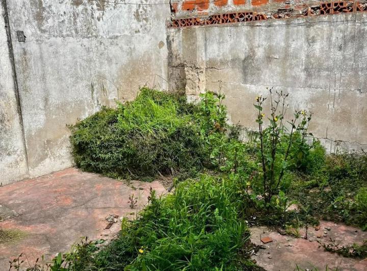 PH · 54m² · 2 Dormitorios