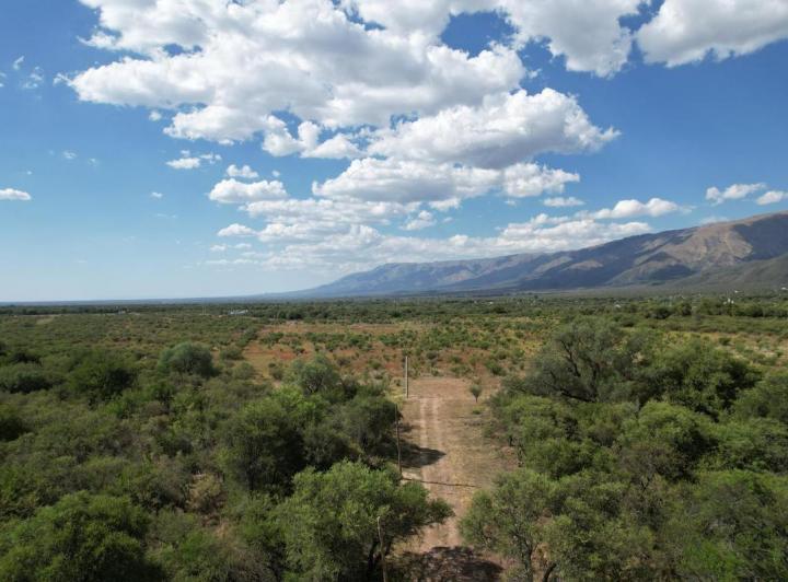 Terreno · 1000m²