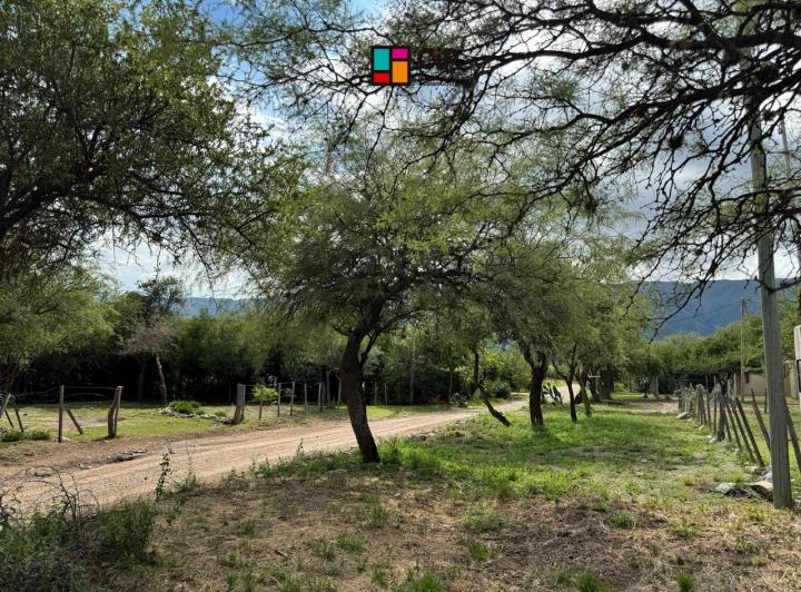 Terreno · 1000m²
