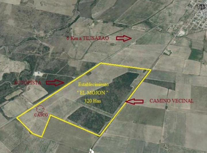 Campo · 320m²