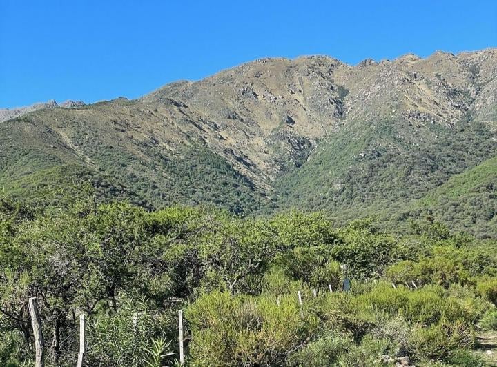 Terreno · 25000m²