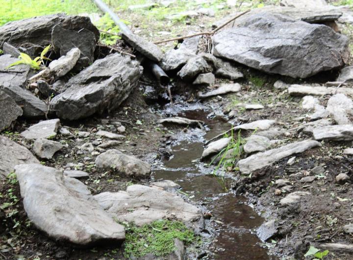 Campo · 1800m² · 1 Ambiente