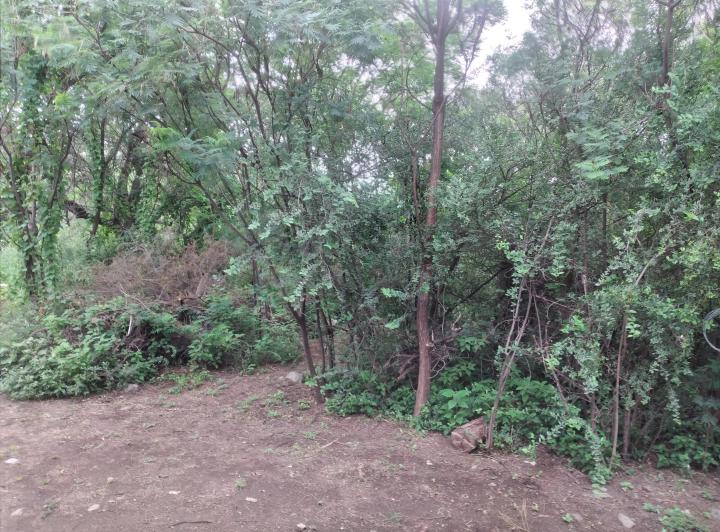 Terreno · 1450m²
