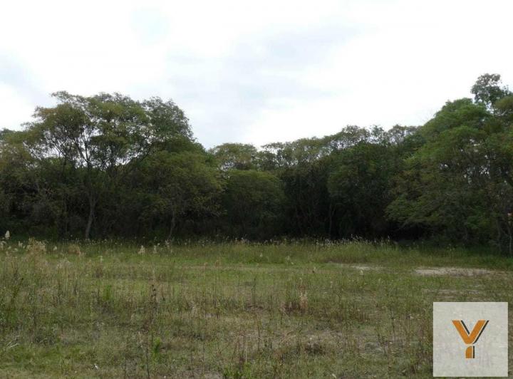 Terreno · 1509m²
