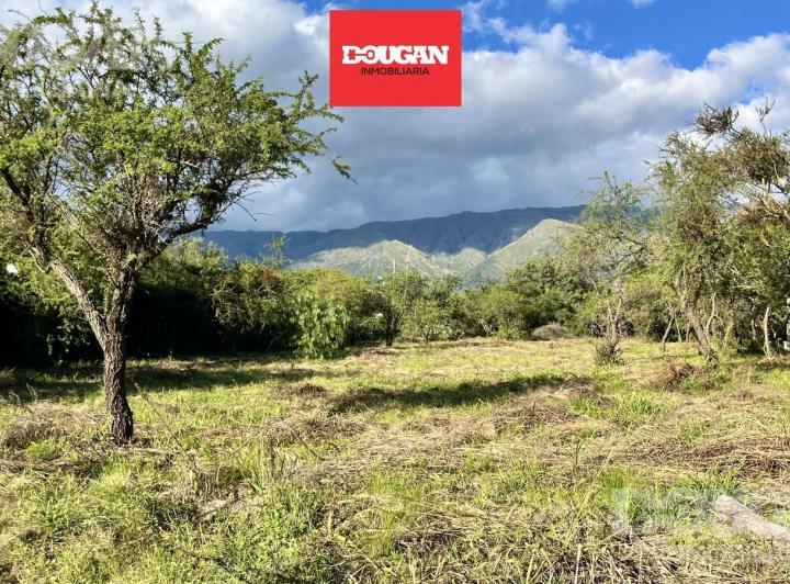 Terreno · 1492m²
