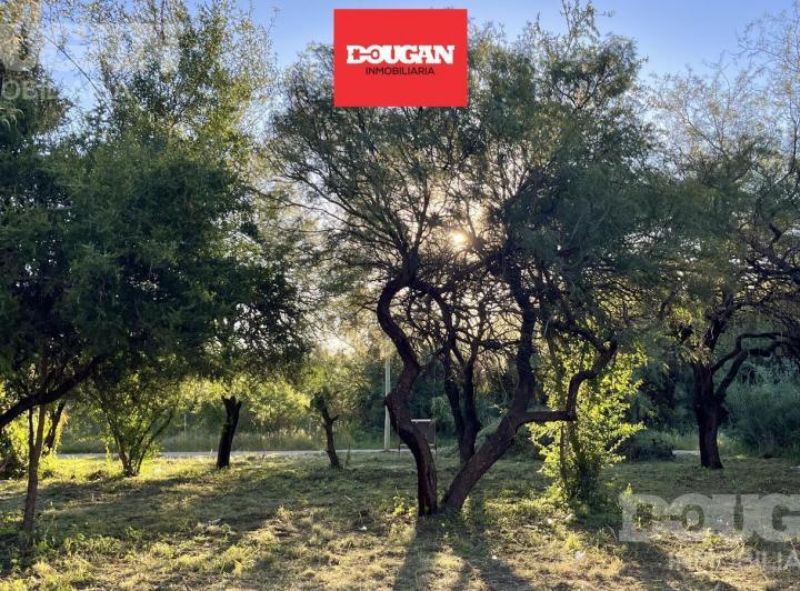Terreno · 470m²