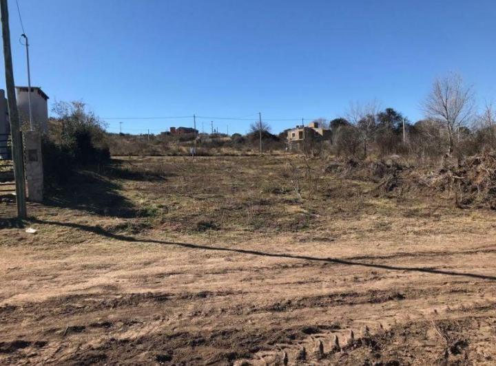 Terreno · 1231m²