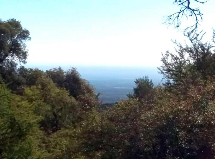 Terreno · 2000m²