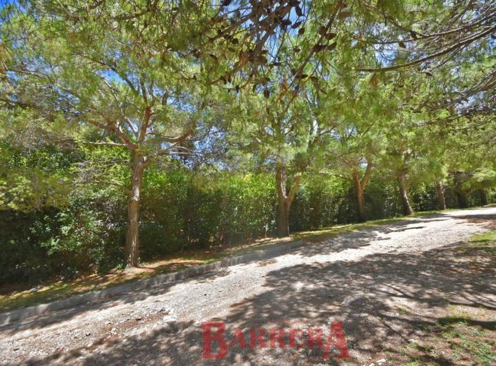 Terreno · 1347m²