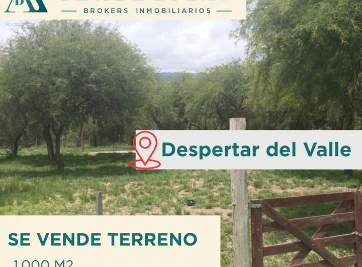Terreno · 1000m²