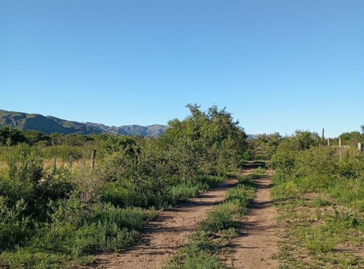 Terreno · 1000m²