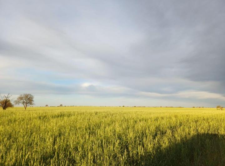 Campo · 10712m²