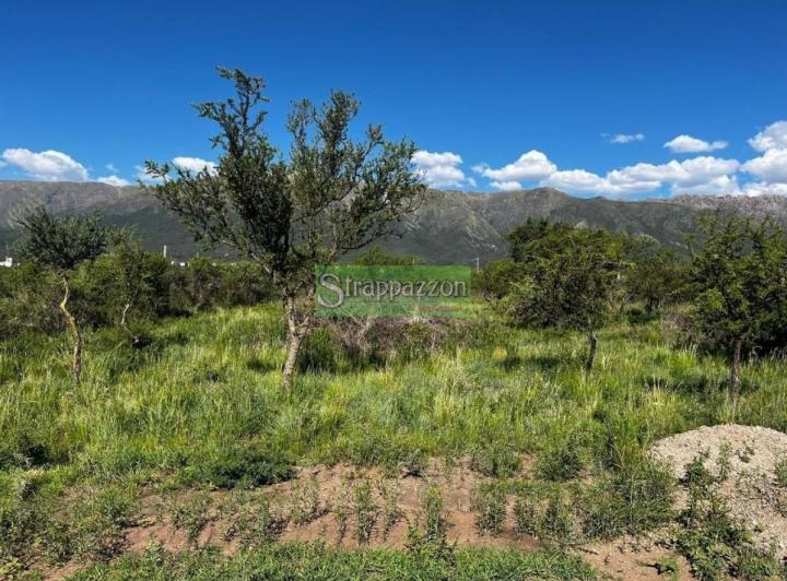 Terreno · 800m²