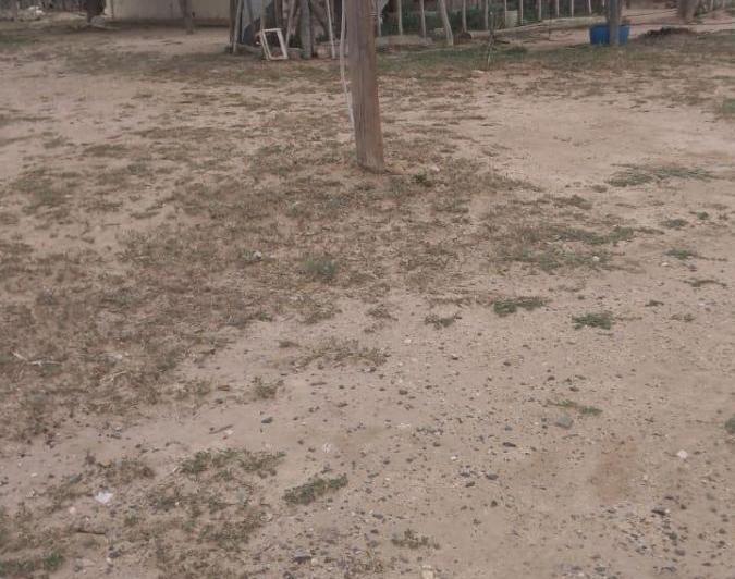 Campo · 2200000m²