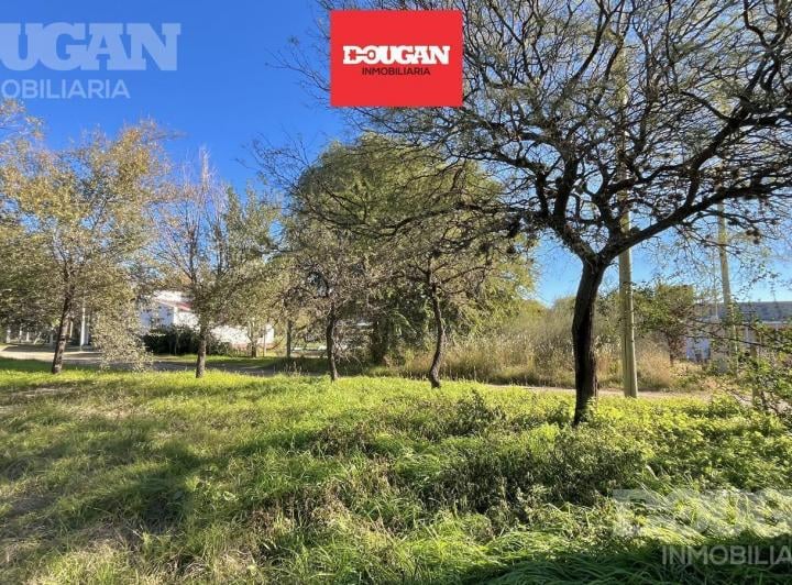 Terreno · 360m²