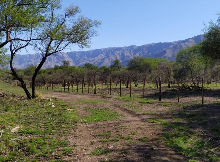 Terreno · 1150m²