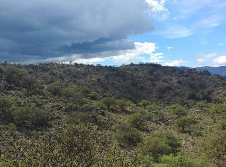 Terreno · 47220m²