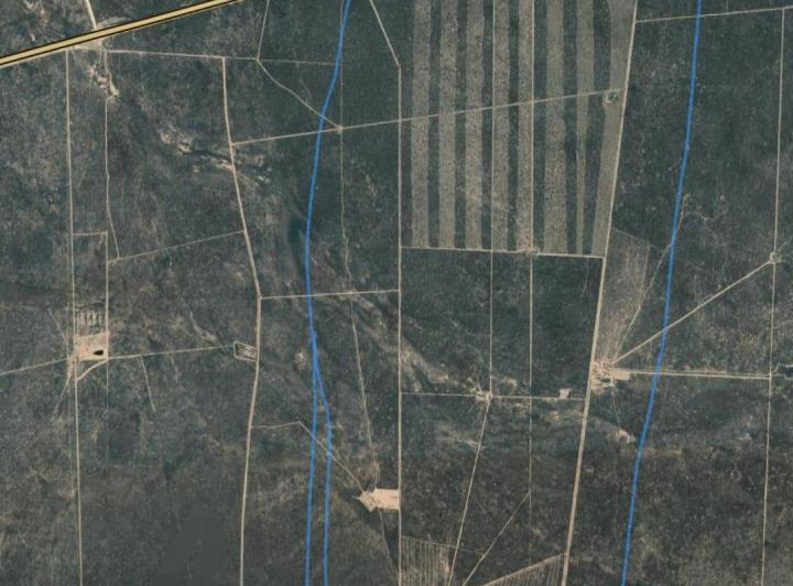 Campo · 1350ha