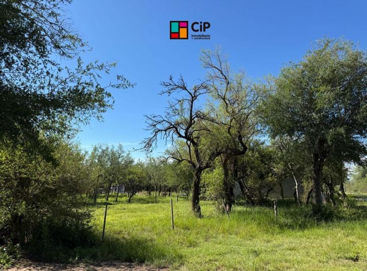 Terreno · 1000m²
