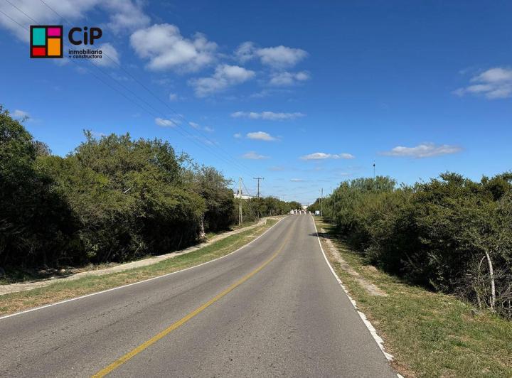 Campo · 140000m²