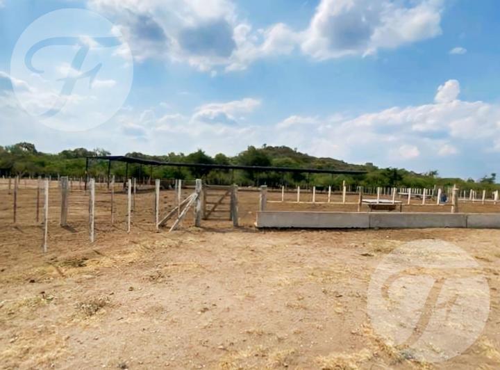Campo · 990000m² · 10 Ambientes