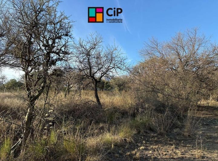 Terreno · 1250m²