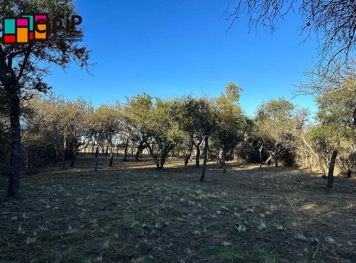 Terreno · 1048m²