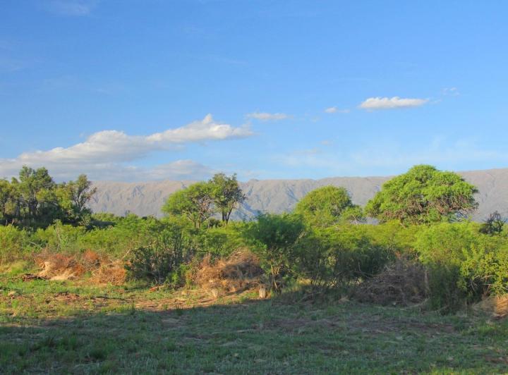 Terreno · 999m²