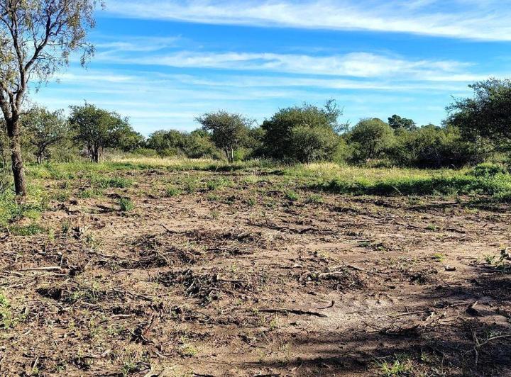 Terreno · 1368m²