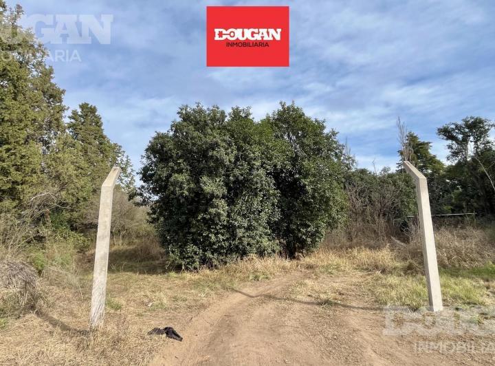 Terreno · 2700m²