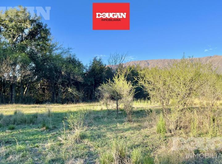 Terreno · 1570m²