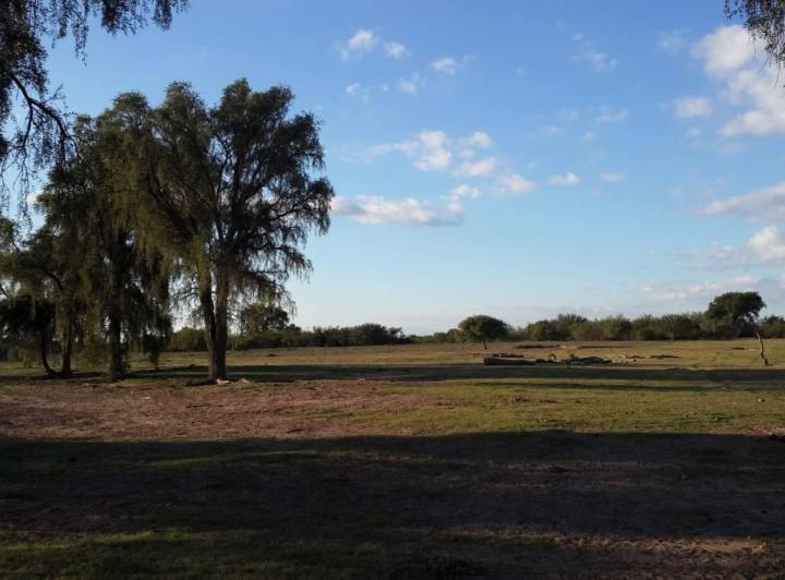 Campo · 1362ha