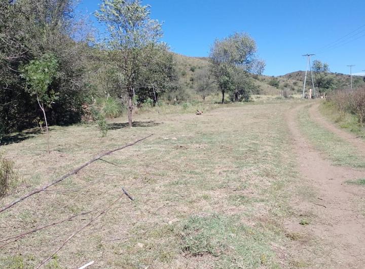Terreno · 1200m²