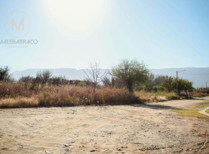 Terreno · 1500m²