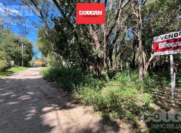 Terreno · 550m²