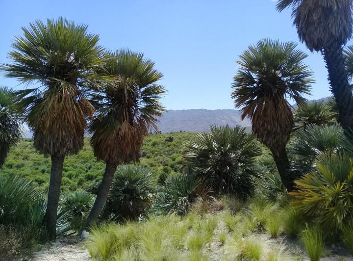 Terreno · 1200m²