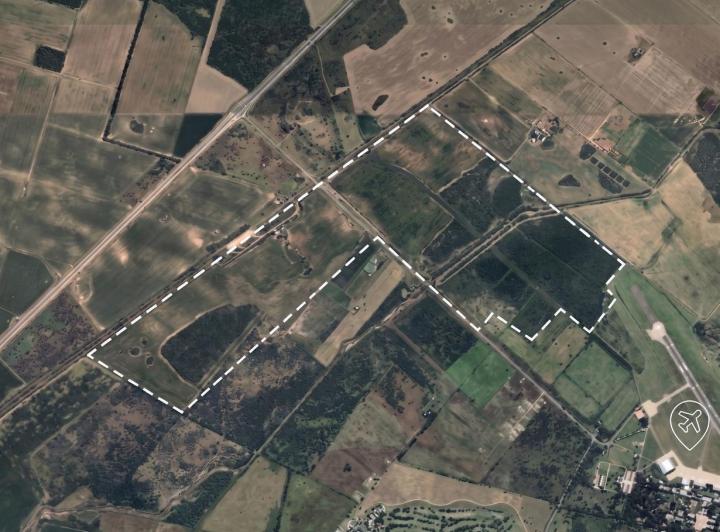 Campo