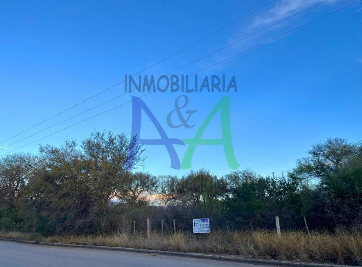 Campo · 70000m²