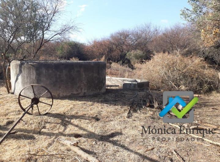 Campo · 250000ha
