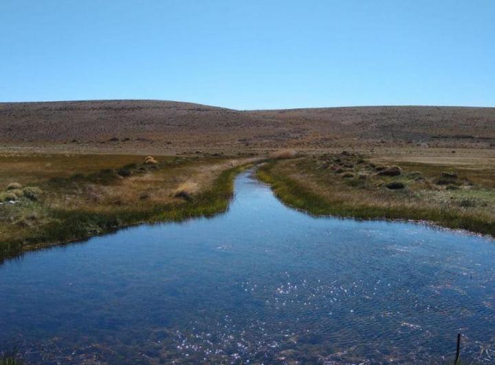 Campo · 22806ha