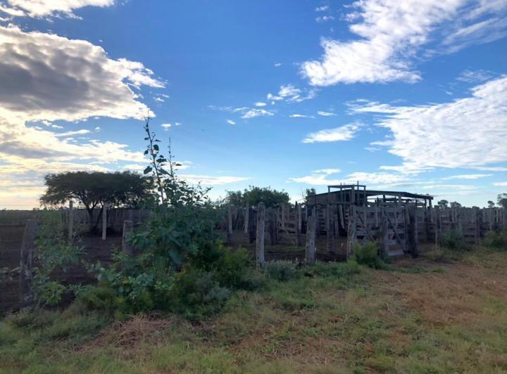 Campo · 20400000m²