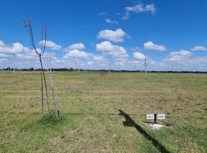 Terreno · 706m²