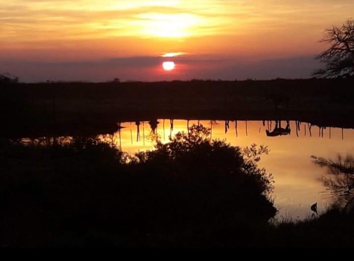 Campo · 2500ha