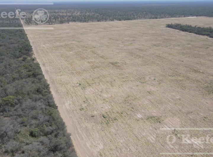 Campo · 41000000ha