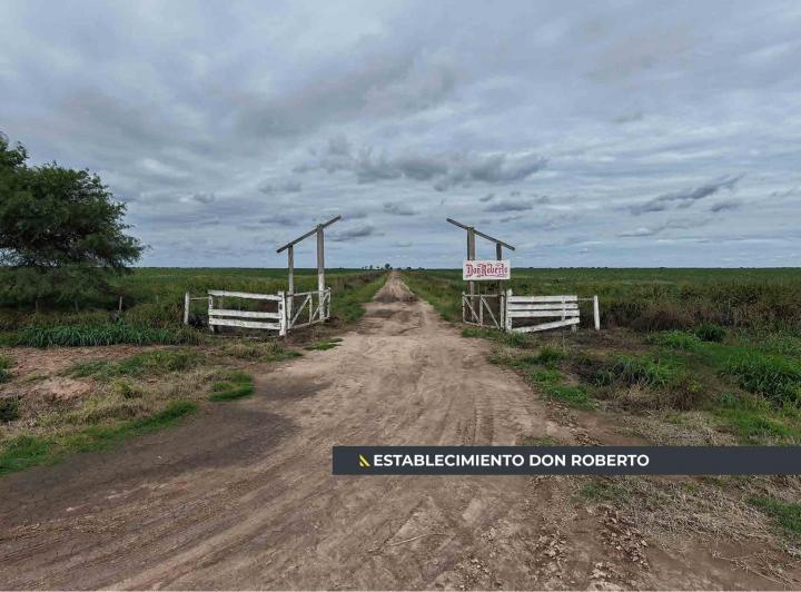 Campo · 28160000m²