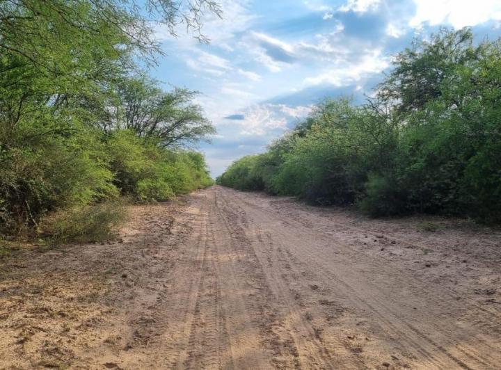Campo · 1ha