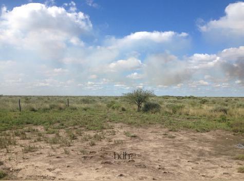 Campo · 2ha