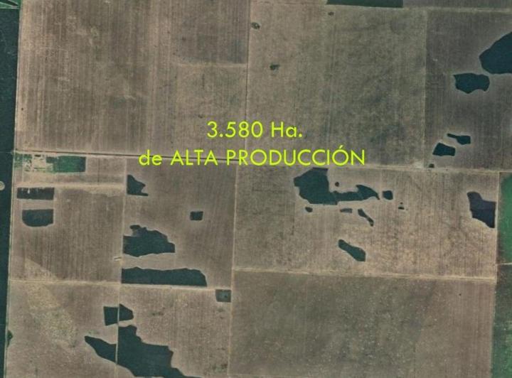 Campo · 3580m²