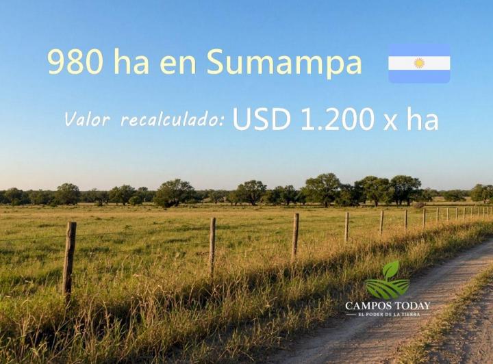 Campo · 980ha