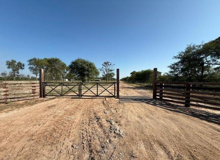 Campo · 5623ha